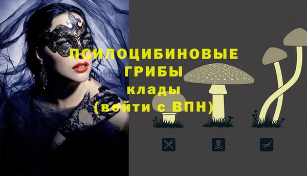 ALPHA PVP Алексеевка