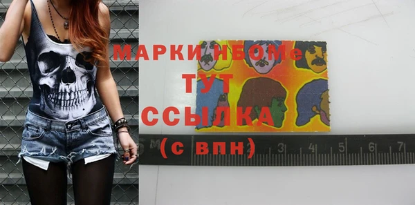 индика Алзамай