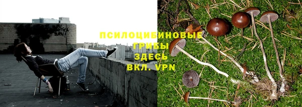 ALPHA PVP Алексеевка