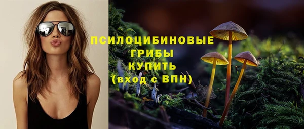 индика Алзамай
