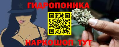 ECSTASY Железногорск