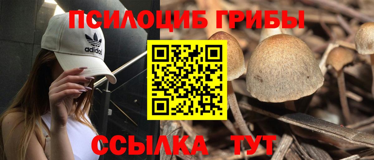 Галлюциногенные грибы Cubensis Дюртюли